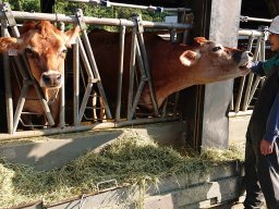 CityU Farm (Dec 2024)